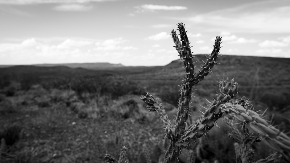 0 Y4 A6652 Photography Art | Captured Adventure Photography