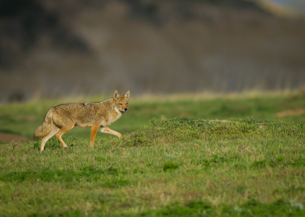 Img 3437 Photography Art | Captured Adventure Photography