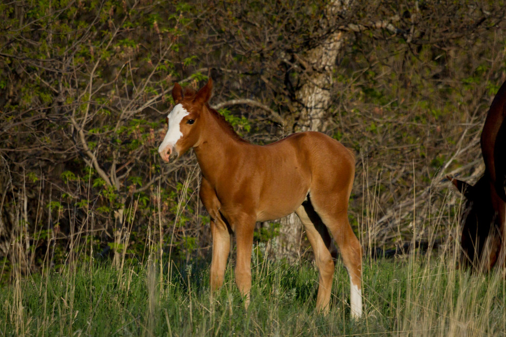 Img 3564 Photography Art | Captured Adventure Photography