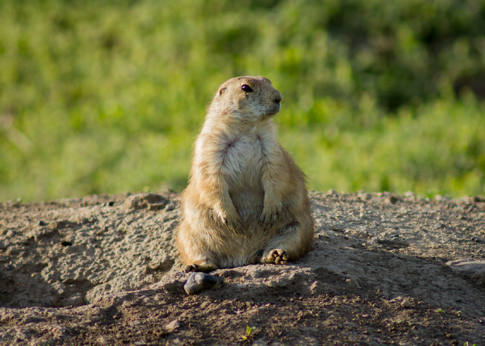 Img 3487 Photography Art | Captured Adventure Photography