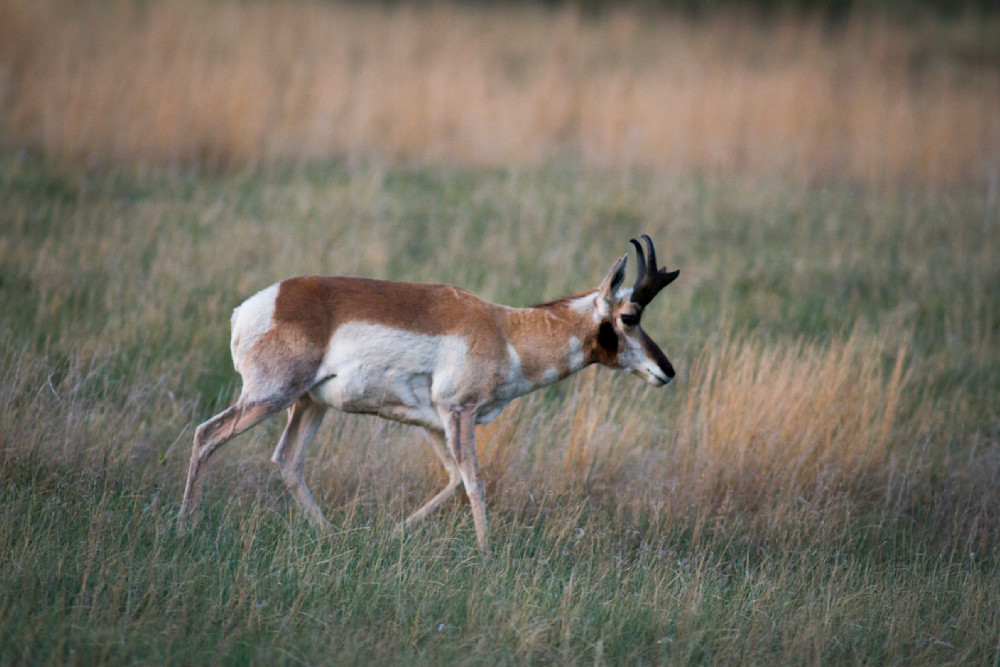 Img 3893 Photography Art | Captured Adventure Photography