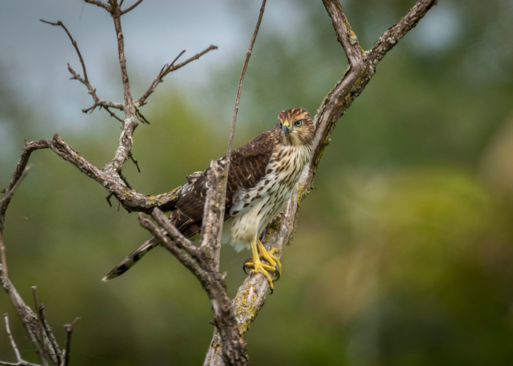 S00 A1856 1 Photography Art | Captured Adventure Photography