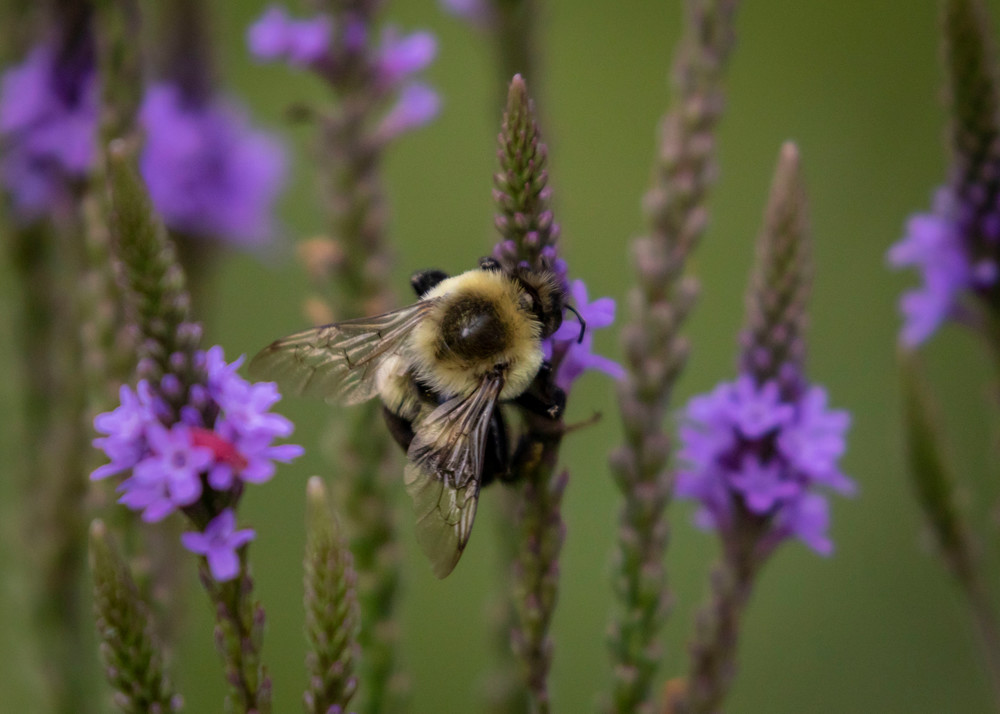 S00 A1976 Photography Art | Captured Adventure Photography