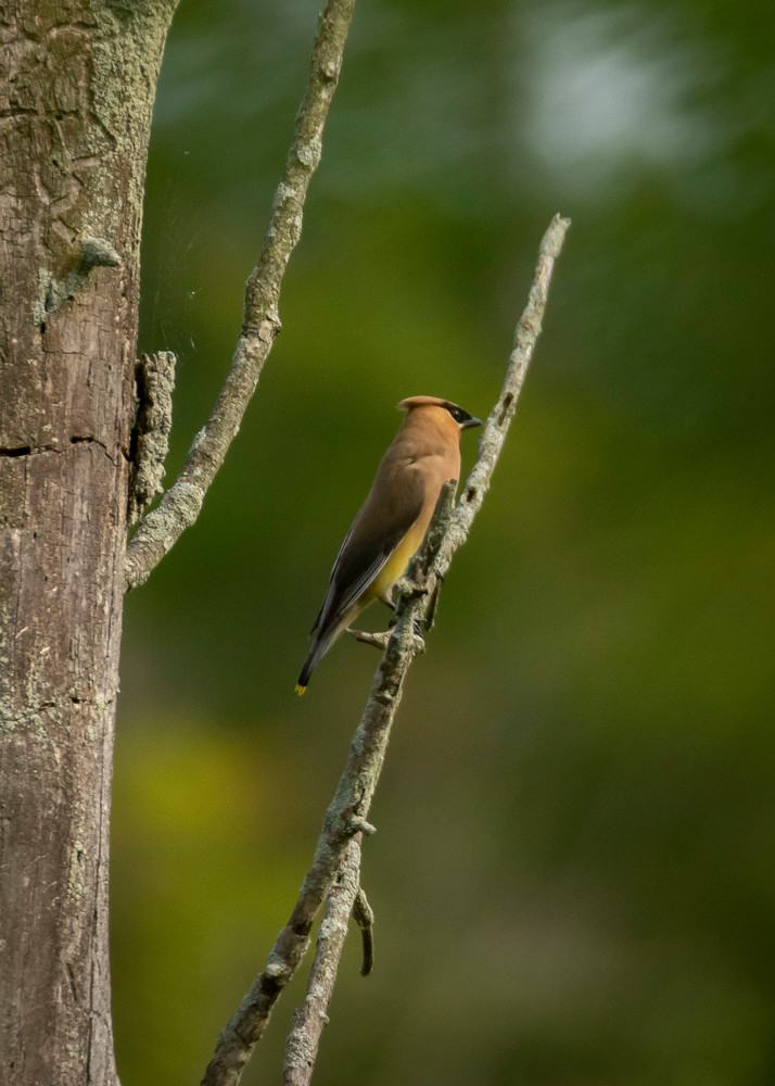 S00 A2059 Photography Art | Captured Adventure Photography