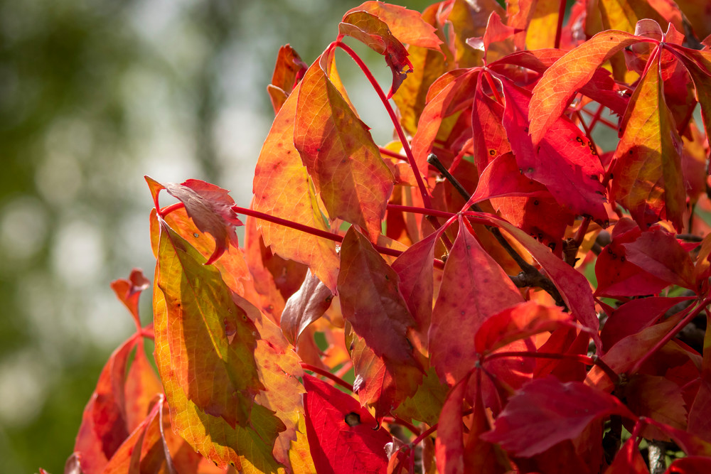 S00 A2085 Photography Art | Captured Adventure Photography