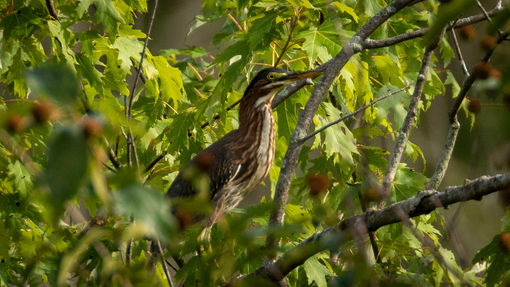 S00 A2101 Photography Art | Captured Adventure Photography