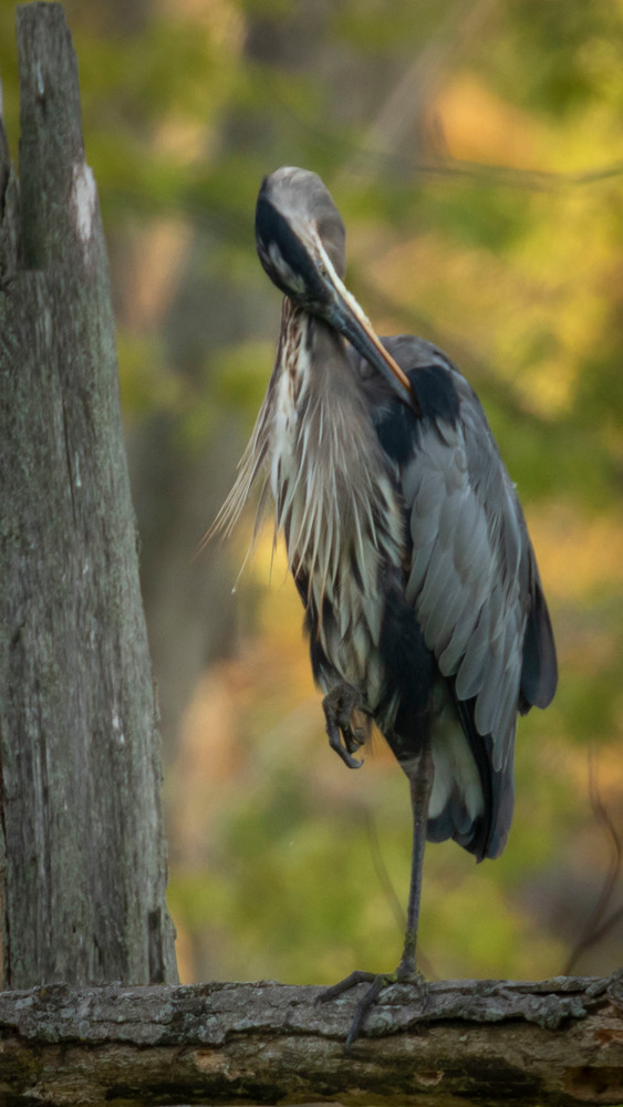 S00 A2298 Photography Art | Captured Adventure Photography