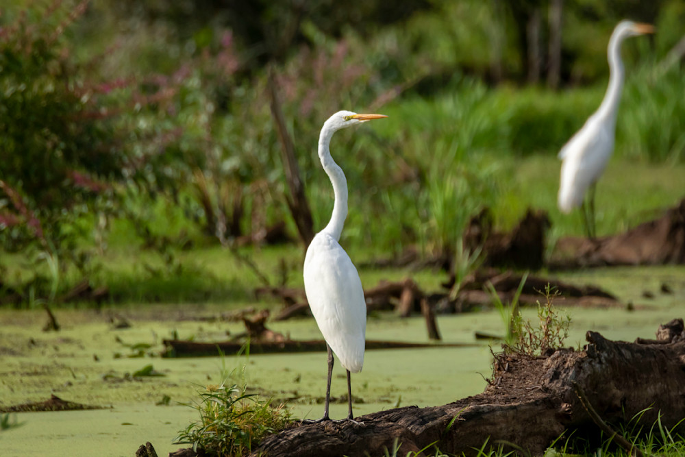 S00 A2029 Photography Art | Captured Adventure Photography