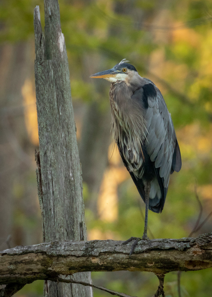 S00 A2310 1 Photography Art | Captured Adventure Photography