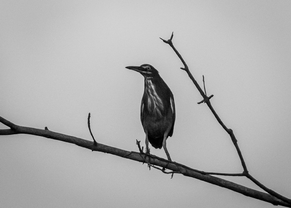 S00 A2496 Photography Art | Captured Adventure Photography