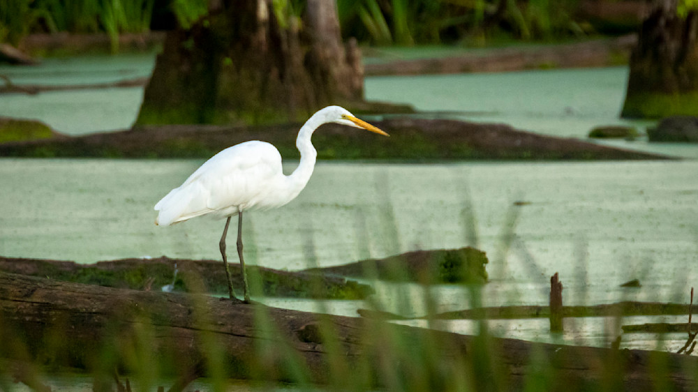 S00 A2434 Photography Art | Captured Adventure Photography