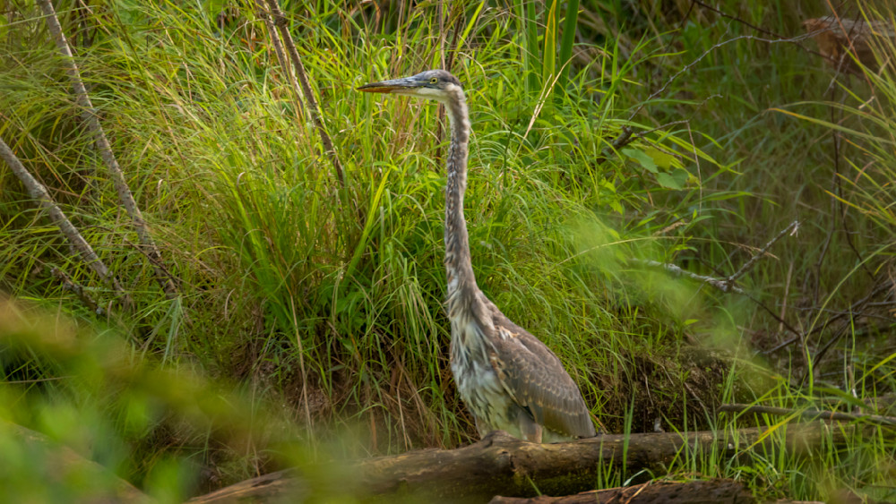 S00 A2005 Photography Art | Captured Adventure Photography