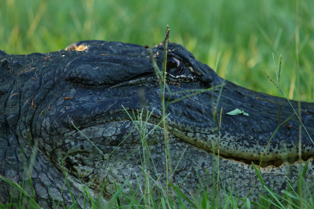 Img 8970 Photography Art | Captured Adventure Photography