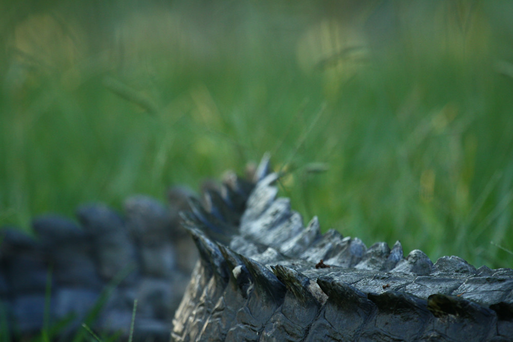 Img 8976 Photography Art | Captured Adventure Photography