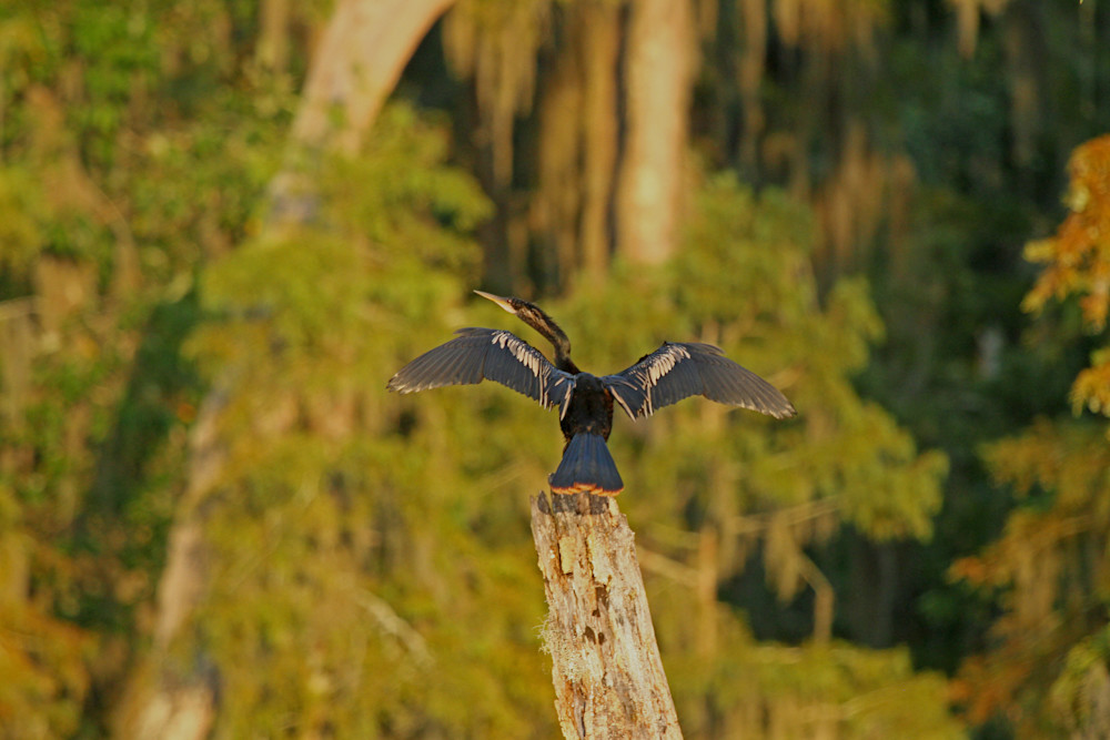 Img 8896 Photography Art | Captured Adventure Photography