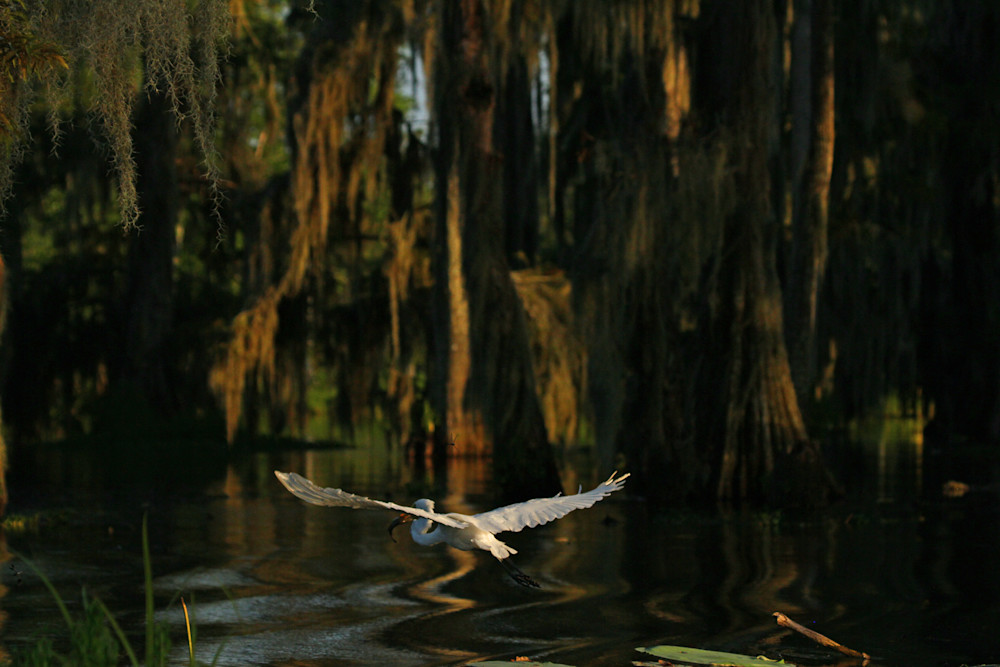 Img 8854e Photography Art | Captured Adventure Photography