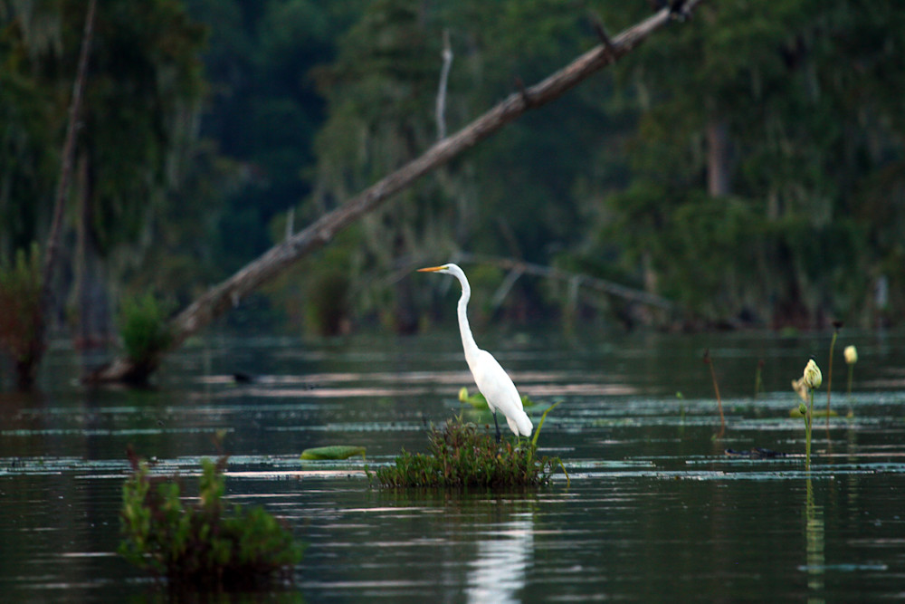 Img 9174 Photography Art | Captured Adventure Photography