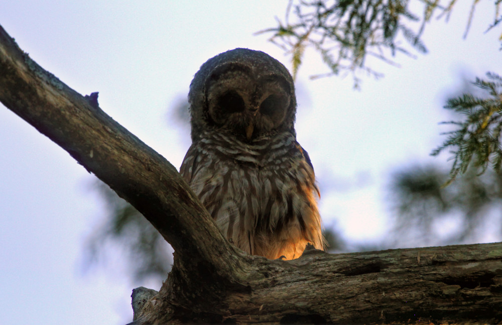 Img 864012e Photography Art | Captured Adventure Photography