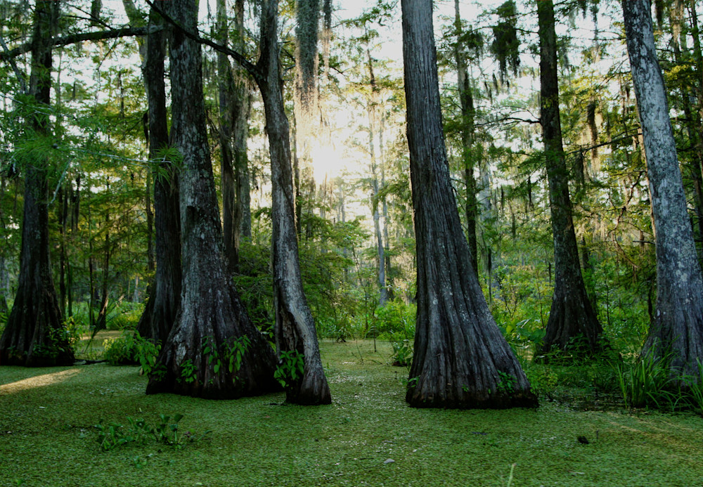 Img 875789 Photography Art | Captured Adventure Photography