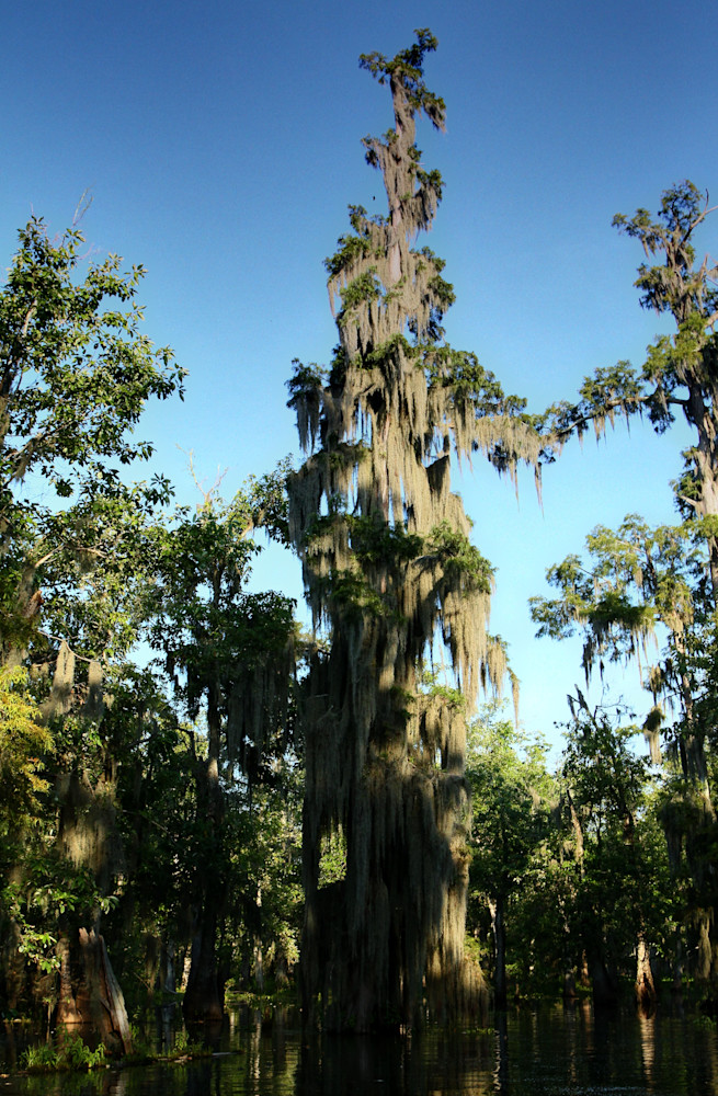 Img 84787980 Photography Art | Captured Adventure Photography