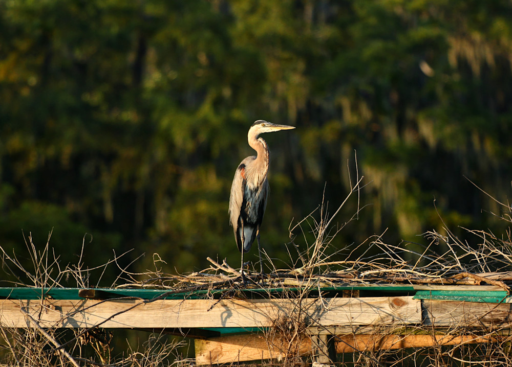 Img 888345 Photography Art | Captured Adventure Photography