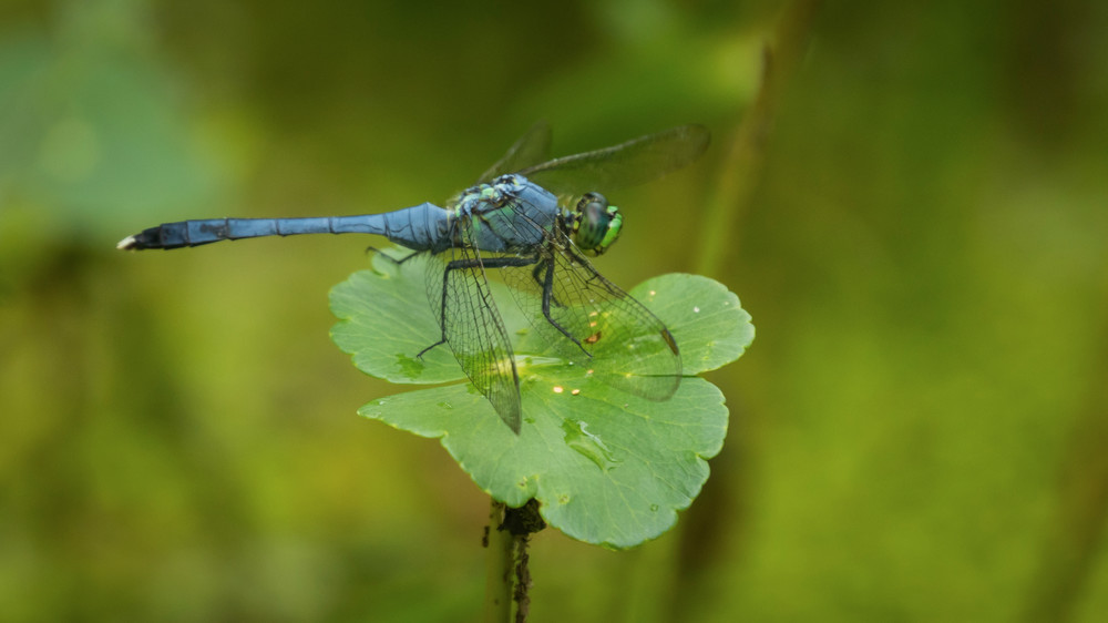 S00 A2494 Photography Art | Captured Adventure Photography