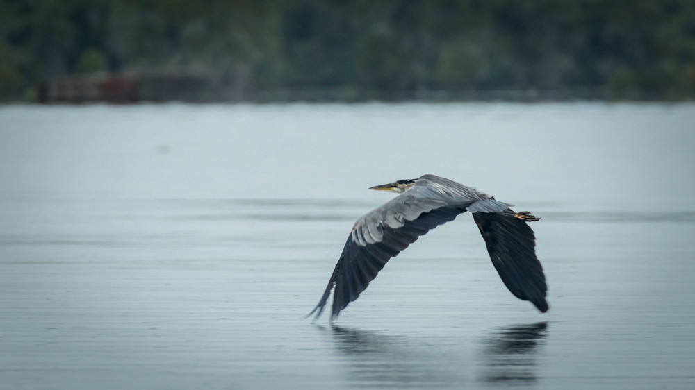 S00 A2702 Photography Art | Captured Adventure Photography