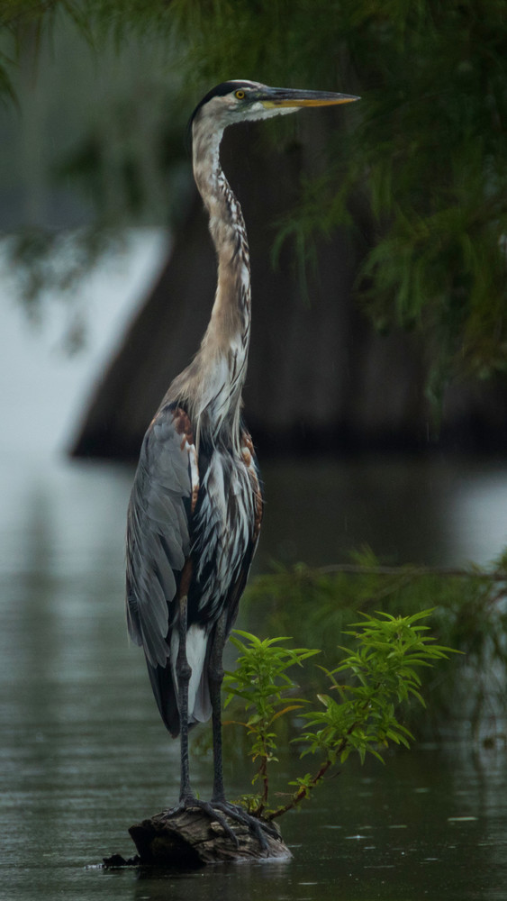 S00 A2653 1 Photography Art | Captured Adventure Photography