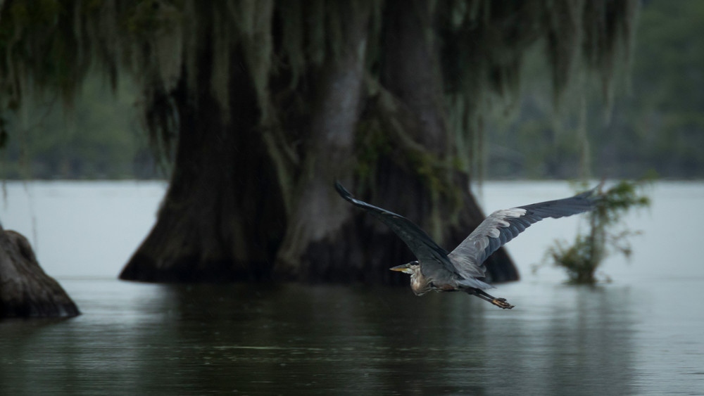 S00 A2711 Photography Art | Captured Adventure Photography