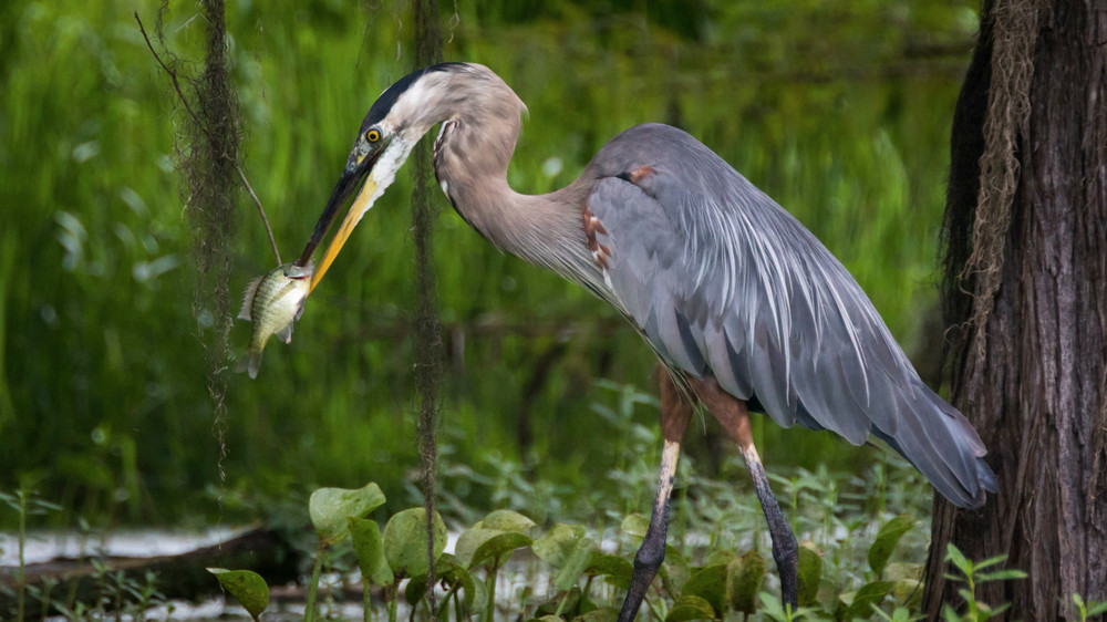 S00 A2886 1 Photography Art | Captured Adventure Photography