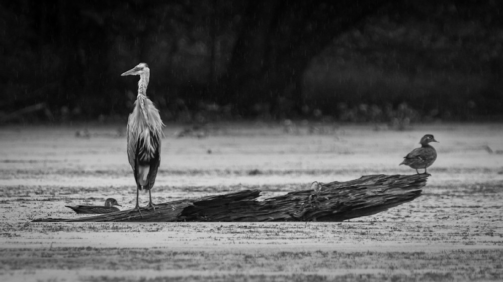 S00 A2940 Photography Art | Captured Adventure Photography