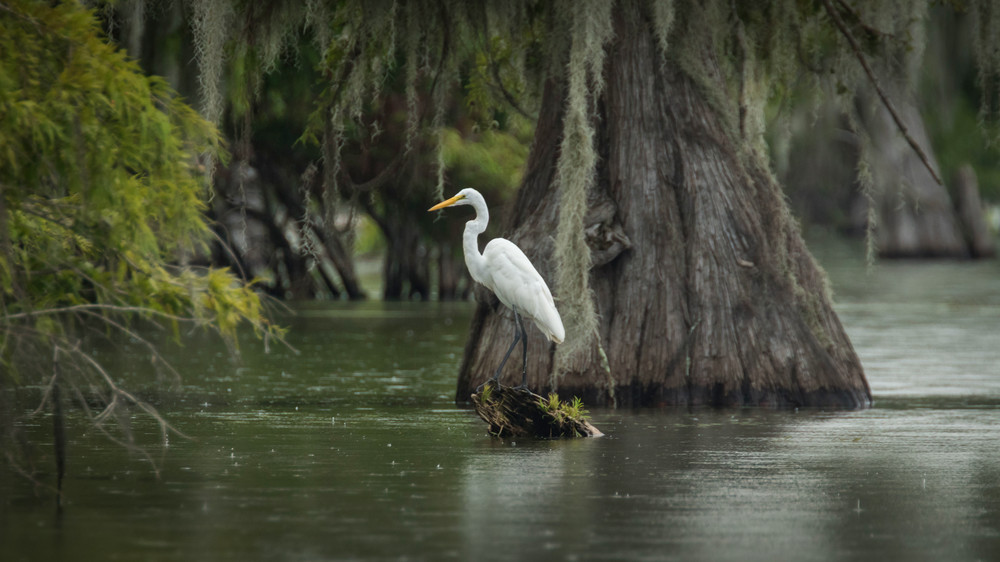 S00 A2822 Photography Art | Captured Adventure Photography