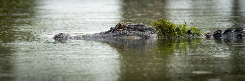 S00 A3056 Photography Art | Captured Adventure Photography