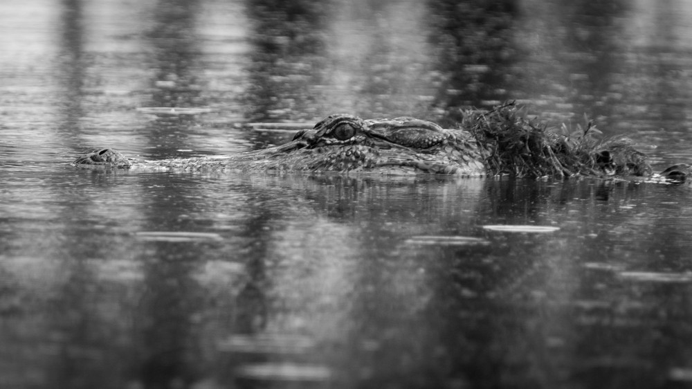 S00 A3061 1 Photography Art | Captured Adventure Photography