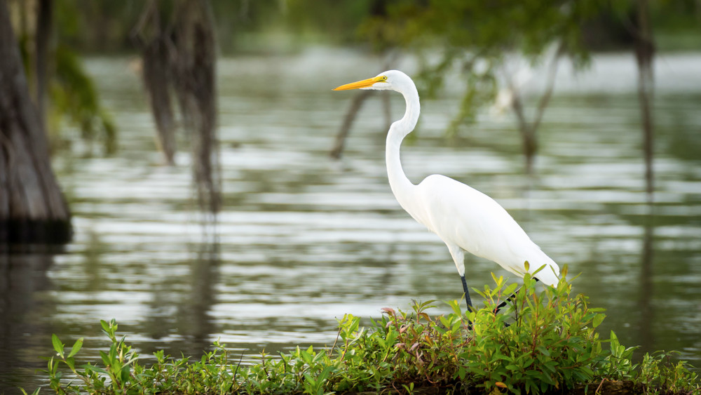 S00 A3257 Photography Art | Captured Adventure Photography