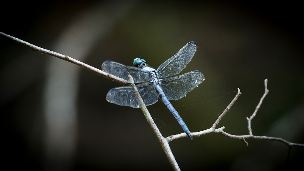 Mg 7471 Photography Art | Captured Adventure Photography