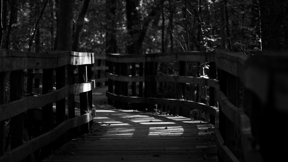 Mg 7515 Photography Art | Captured Adventure Photography