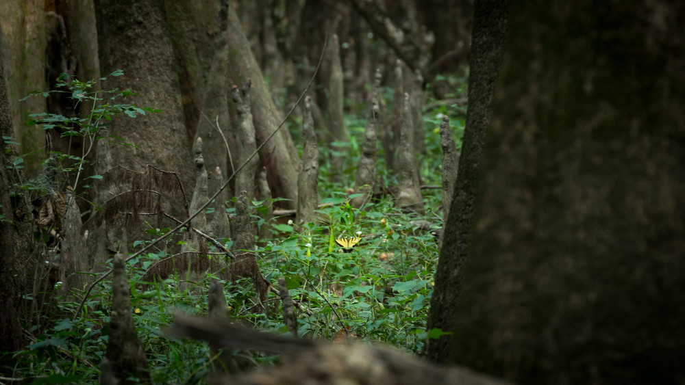 Mg 7565 Photography Art | Captured Adventure Photography