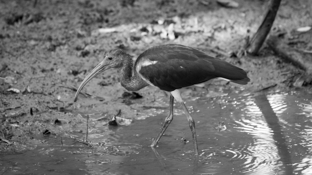 Mg 7606 Photography Art | Captured Adventure Photography