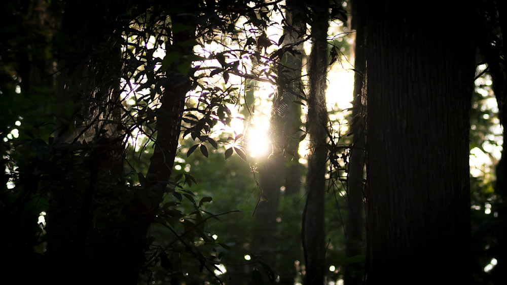 Mg 7681 1 Photography Art | Captured Adventure Photography