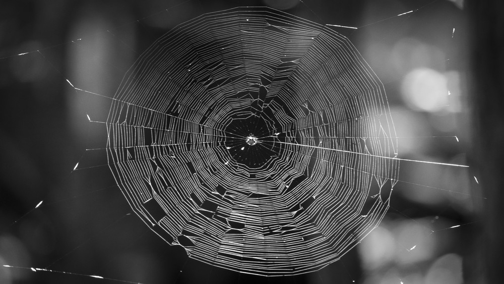 Mg 7529 Photography Art | Captured Adventure Photography