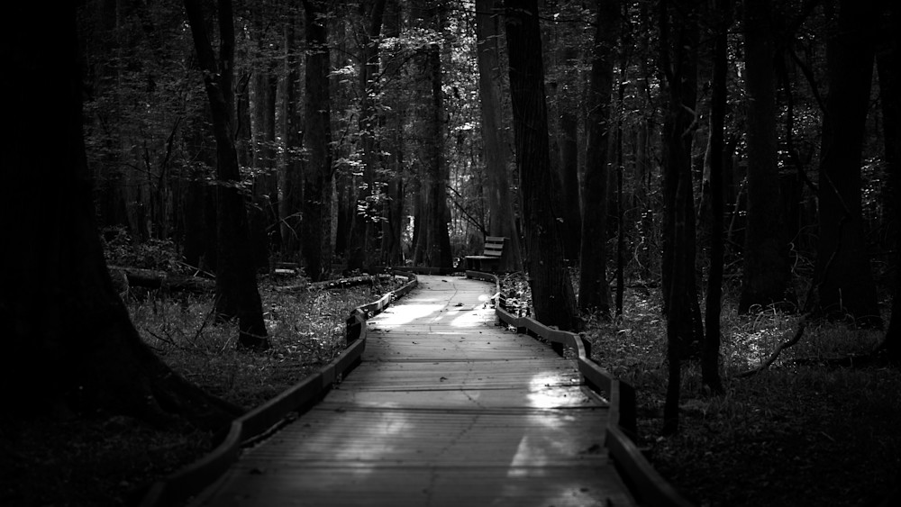 Mg 7678 1 Photography Art | Captured Adventure Photography