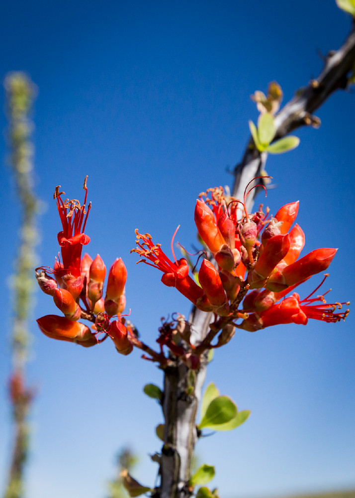 Mg 3114 Photography Art | Captured Adventure Photography