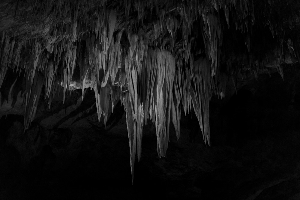 Mg 3587 Photography Art | Captured Adventure Photography