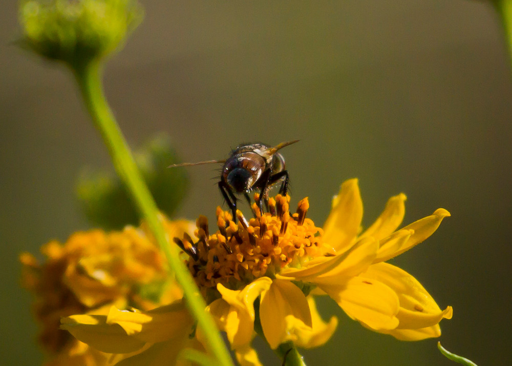 Img 0271 Photography Art | Captured Adventure Photography