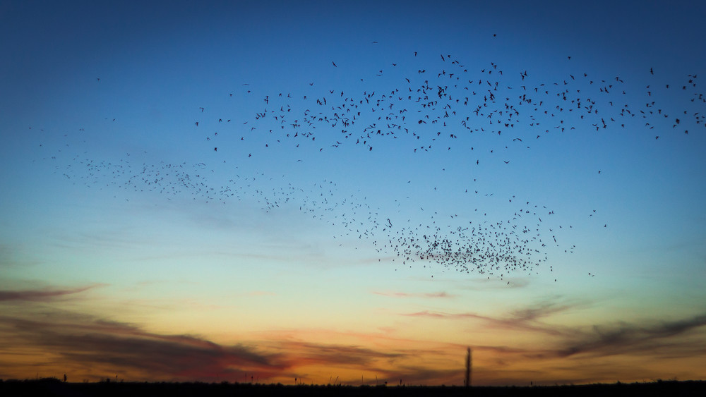 Mg 3840 Photography Art | Captured Adventure Photography