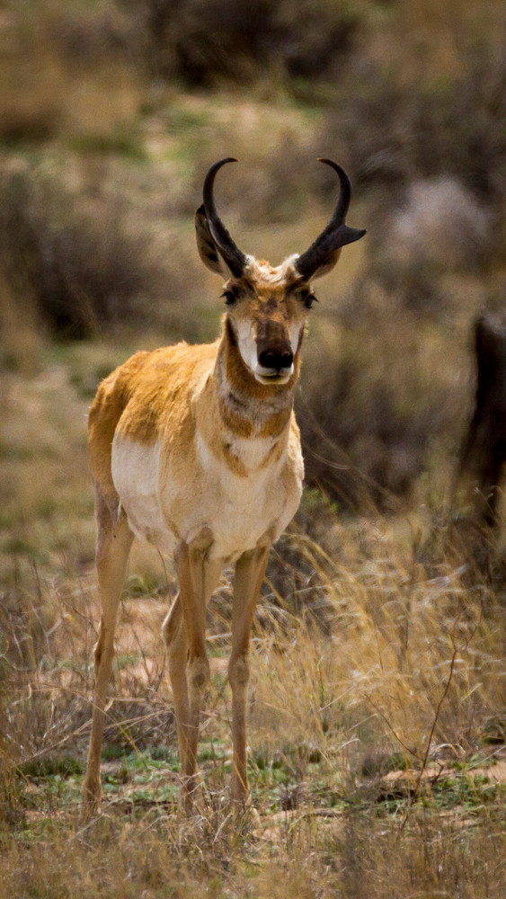 Img 0180 Photography Art | Captured Adventure Photography