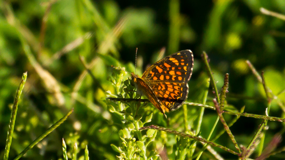 Img 0282 Photography Art | Captured Adventure Photography