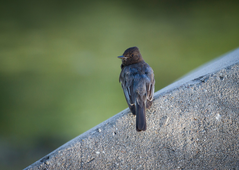 Img 0278 Photography Art | Captured Adventure Photography