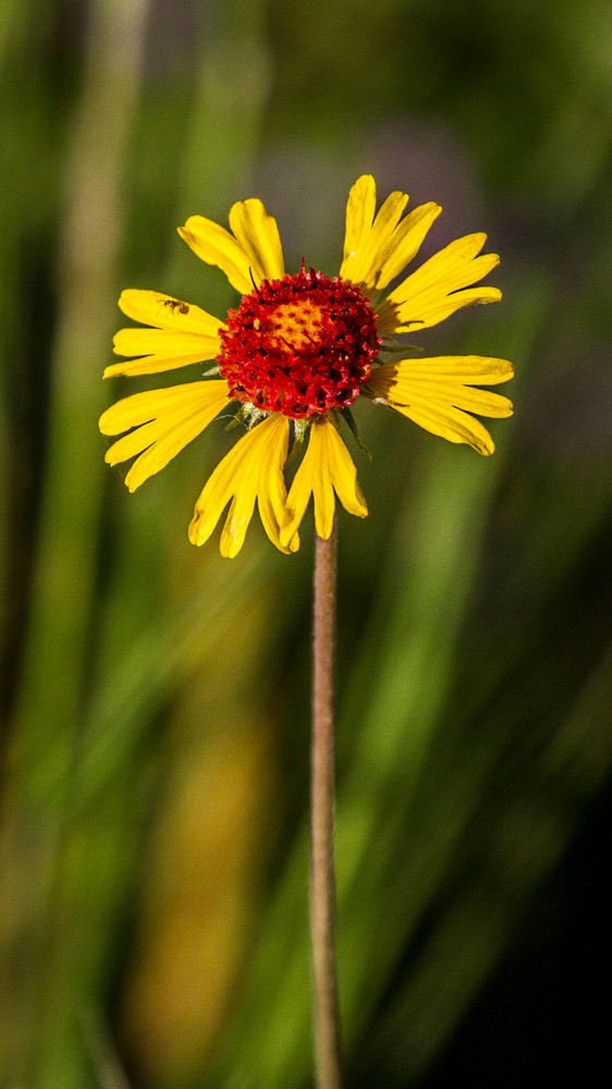 Img 0285 Photography Art | Captured Adventure Photography